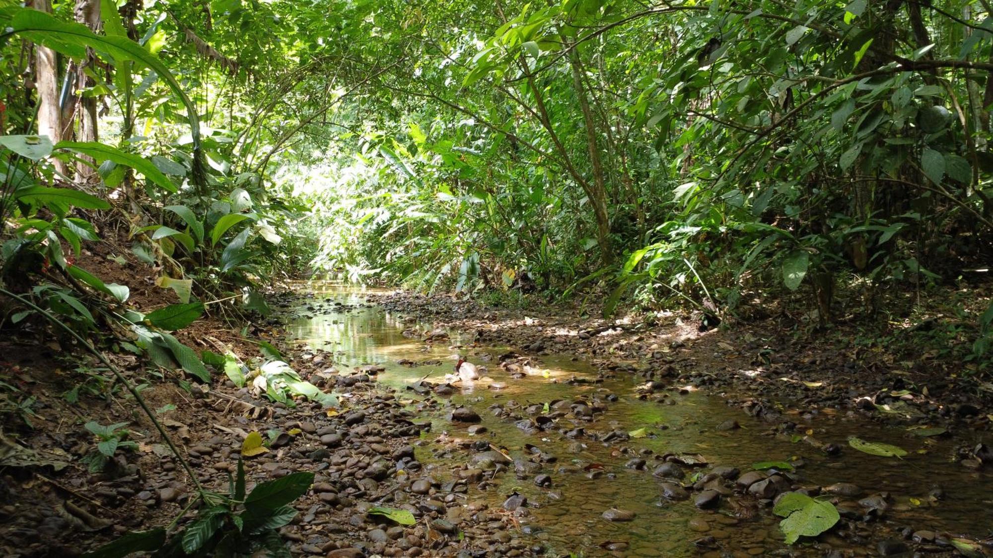 U Sule Villa Cahuita Luaran gambar