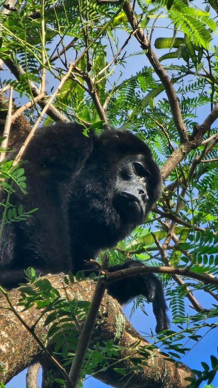 U Sule Villa Cahuita Luaran gambar